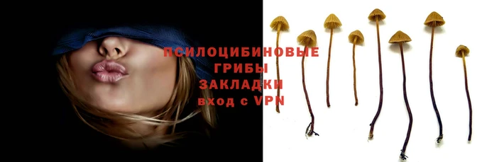 амфетамин Бородино