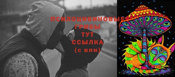 дурь Бугульма