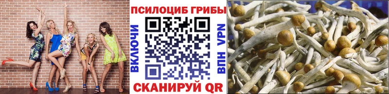 Псилоцибиновые грибы MAGIC MUSHROOMS  Купить где  Малгобек 
